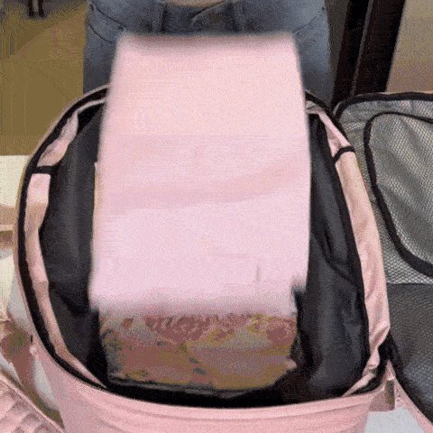 Vacuum-Sealed Travel Bag System
